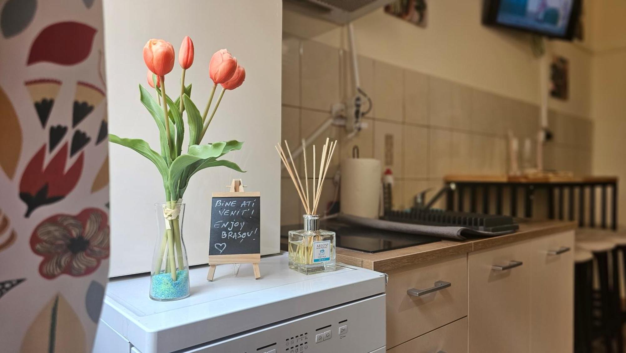 Happy Mood Apartment 5 Braşov Esterno foto